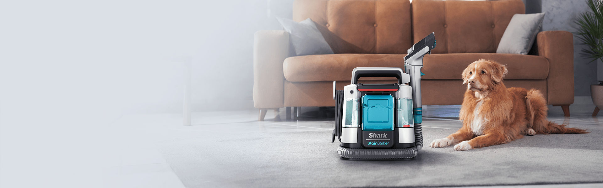 Nefleksibilan prema flekama